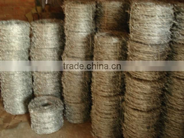 hot galvanzied single weave coil barbed wire/ crossed type barbed wi12#x14# 14#x16# barbed wire