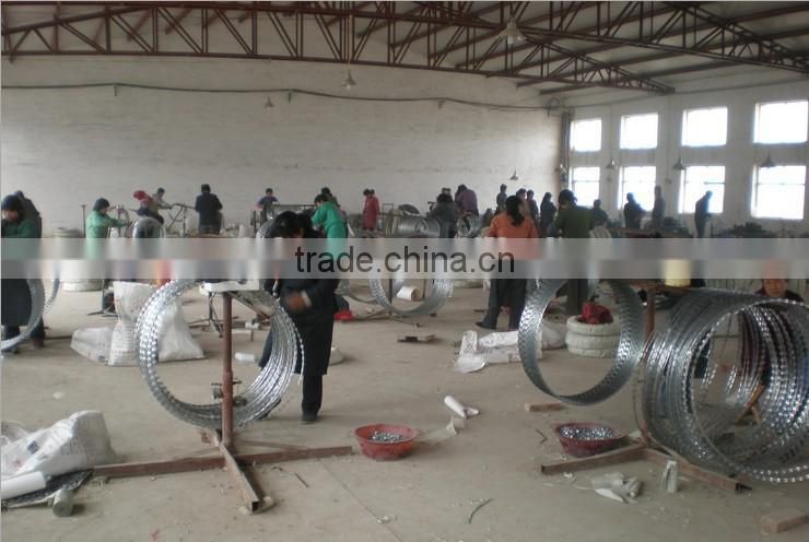 prison security Concertina WIRE/ Military SBB Dia 500mm 10" RIPPER COILS GALVANIZED RAZOR RIBBON