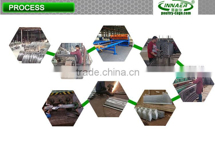 Innaer factory chicken cage layer poultry for chicken farm