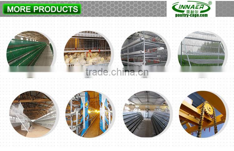 Innaer factory chicken cage layer poultry for chicken farm