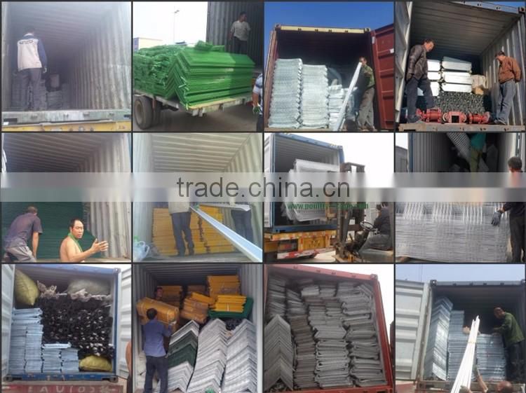 Automatic Poultry Farm Chicken Layer Cage