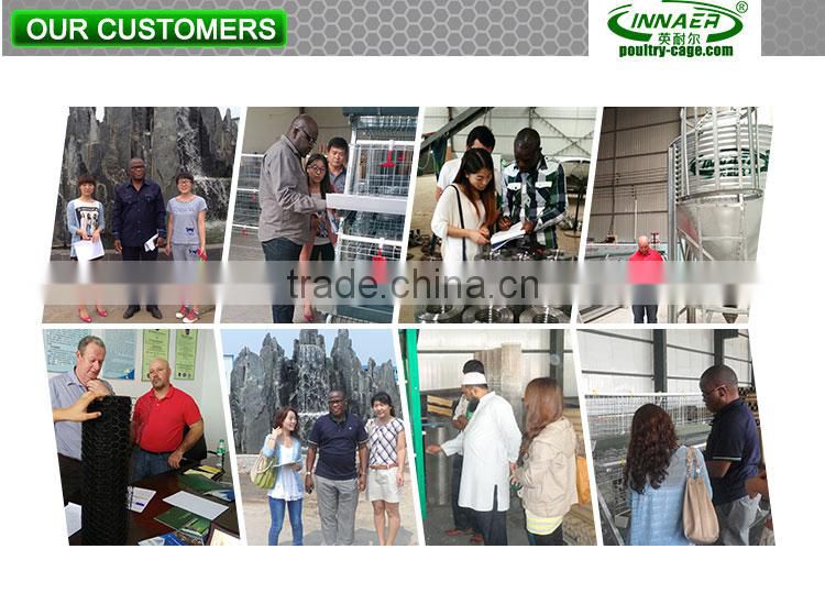 Innaer factory chicken cage layer poultry for chicken farm