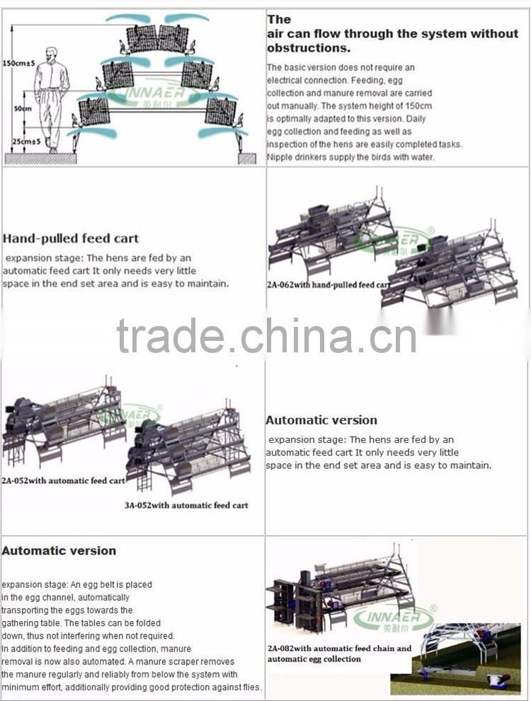Automatic Poultry Farm Chicken Layer Cage