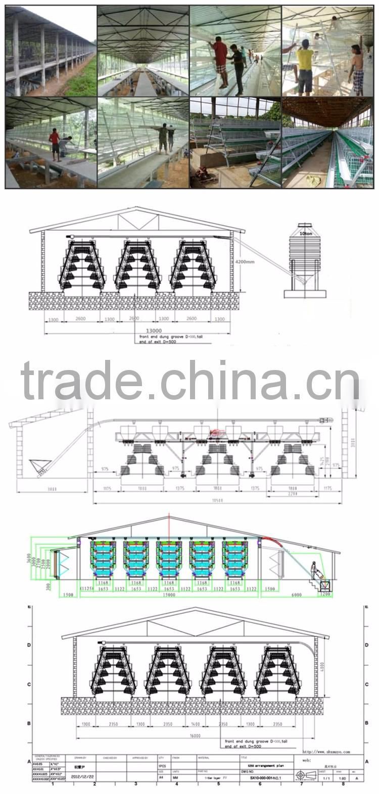 Automatic Poultry Farm Chicken Layer Cage
