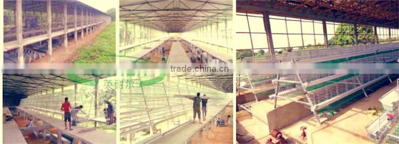 Innaer poultry chicken cages New Design egg laying cages for poultry farm