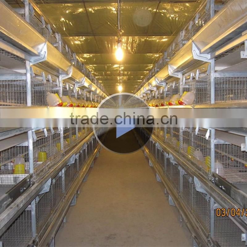 China wholesale custom chicken farm poultry equipment for sale