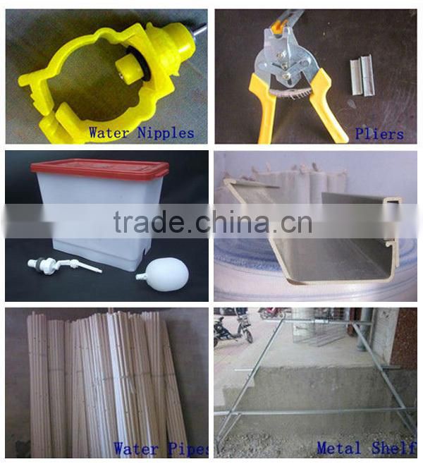 3layer 4 door 96 chicken chicken laying cage