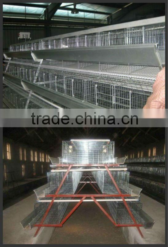 layer chicken cage