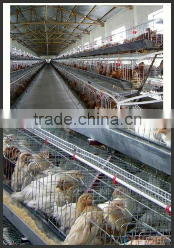 layer chicken cage