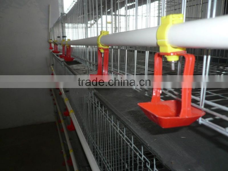 layer chicken battery cage / chicken layer cage price