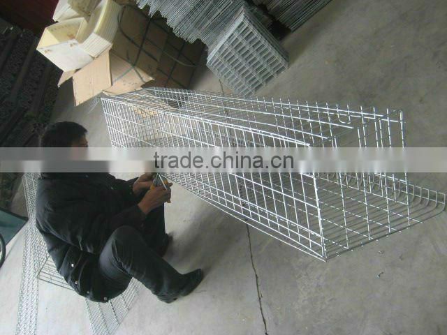 layer chicken cage