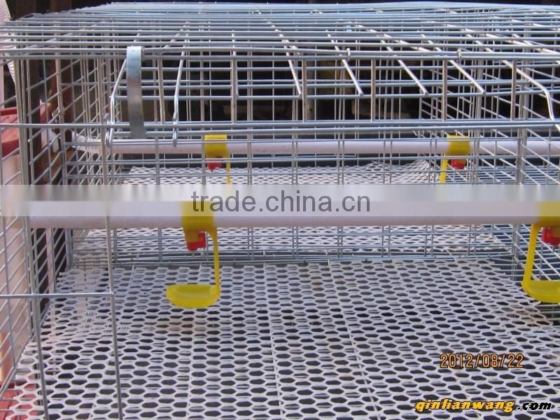 layer chicken battery cage / chicken layer cage price