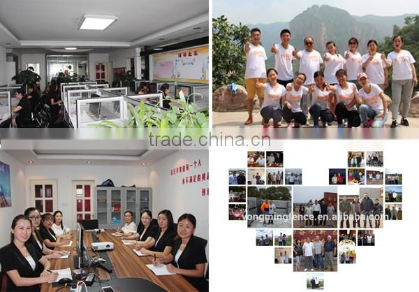 Anping Factory Supply Anti Climb 358 Prison Mesh