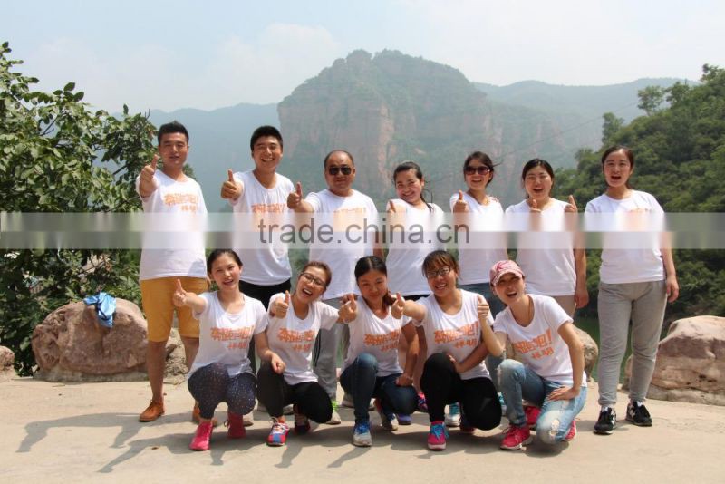 Anti - cut High security fence / 358 prison fence(ISO9001)