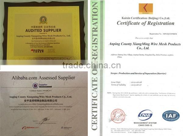 Anping Factory Supply Anti Climb 358 Prison Mesh