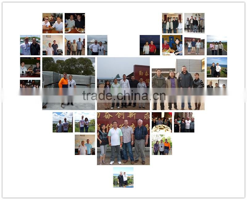 Anti - cut High security fence / 358 prison fence(ISO9001)