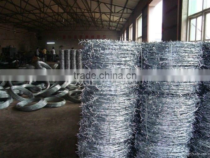 cheap galvanized barbed wire factory supply directly