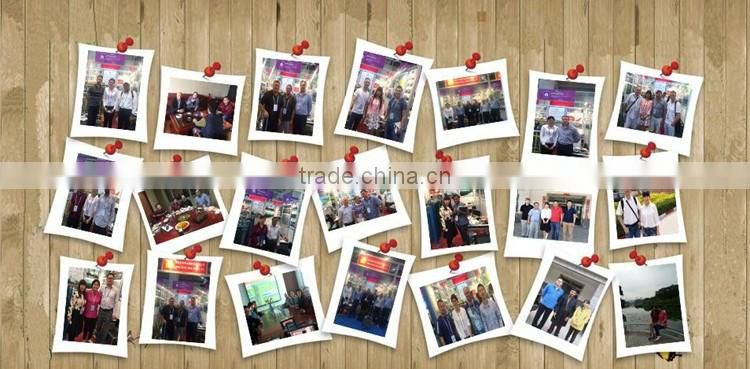 24 years factory v curves wire mesh fence panels for protection