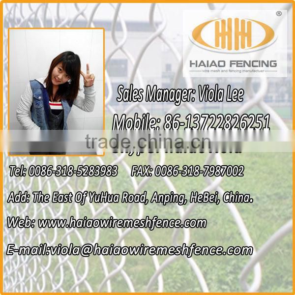 High quality hot dipped galvanized and pvc coated 358 fence