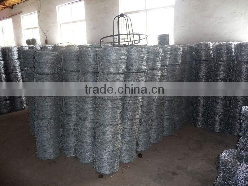 Galvanized barbed wire