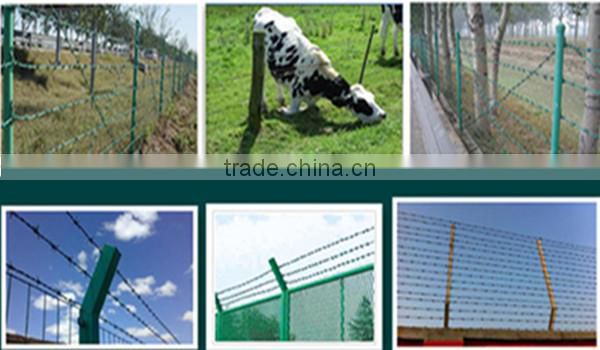 ISO:9001 Alibaba China high quality razor barbed wire mesh fence for sale