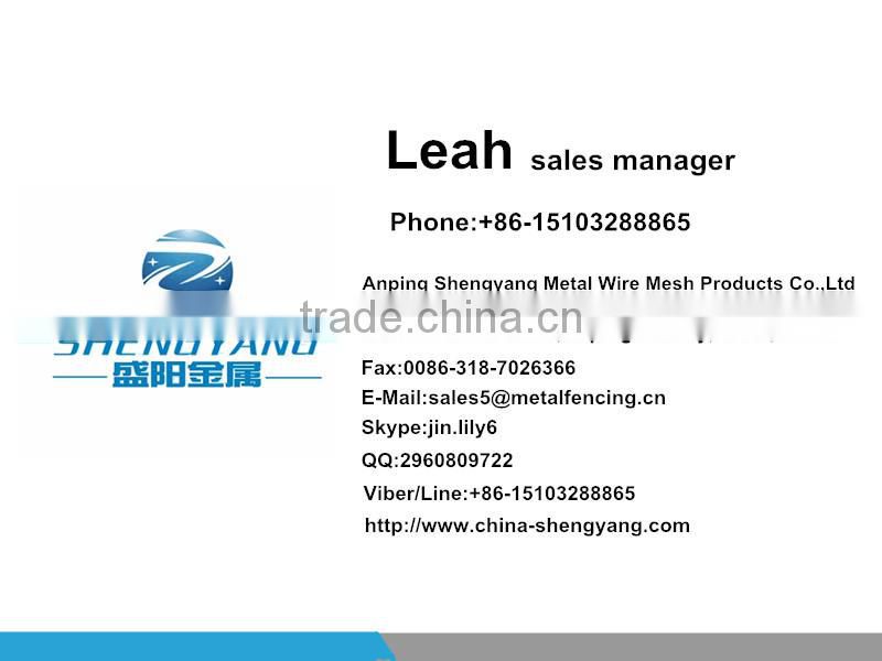 cheap chain link fence for sale (made in China)