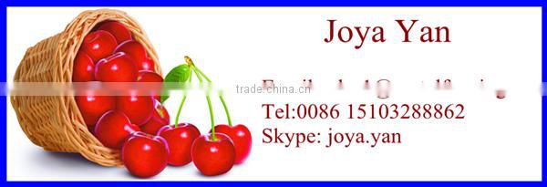 China manufacture black vinyl coated chain link fence