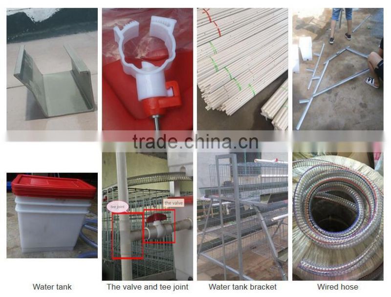 Alibaba recommended Supplier chicken cage for laying hen