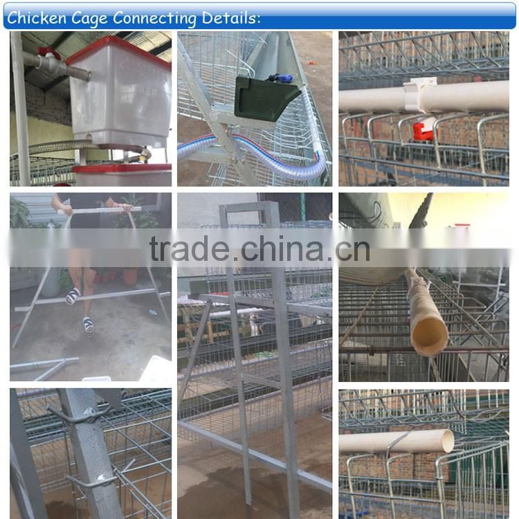 big sale beautiful reduce aggression 3 tiers 4 doors galvanized layer cage