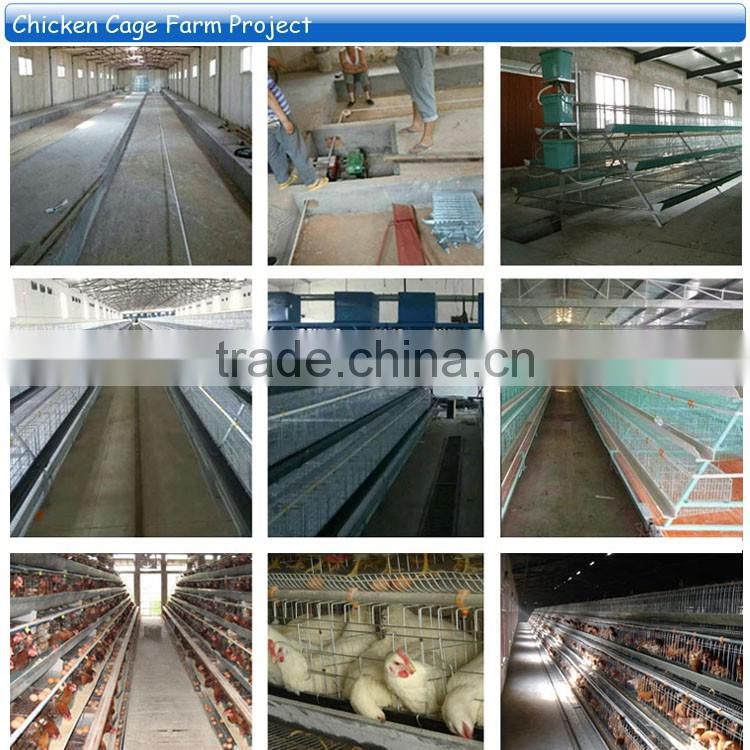 big sale beautiful reduce aggression 3 tiers 4 doors galvanized layer cage