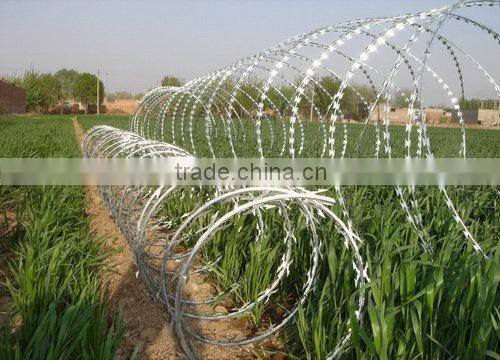 Tianyue gavanized razor barbed wire(factory)