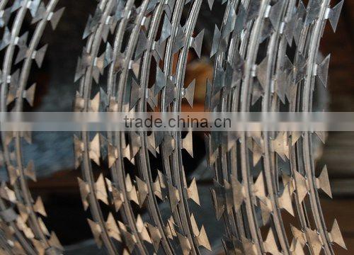 Tianyue gavanized razor barbed wire(factory)