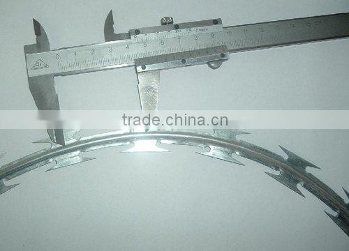 Tianyue gavanized razor barbed wire(factory)