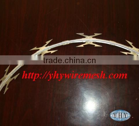 concertina wire (professional factory)