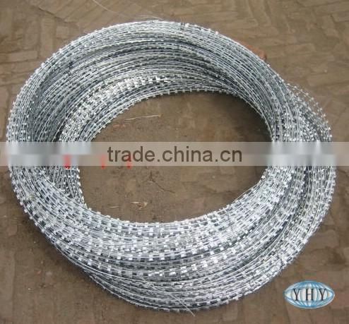 concertina wire (professional factory)