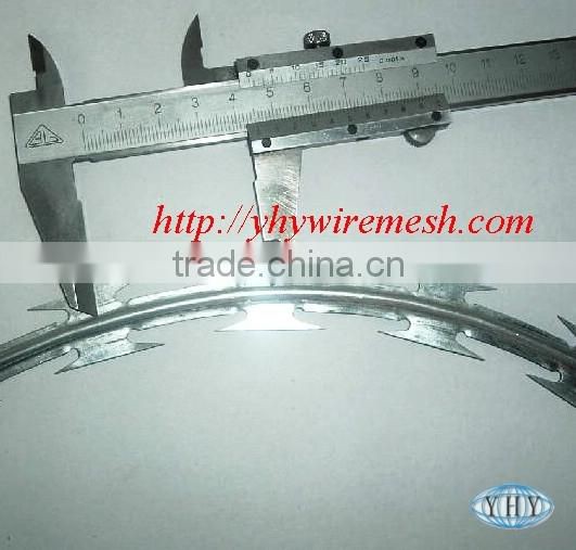 concertina wire (professional factory)