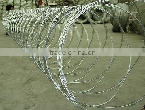 concertina wire (professional factory)