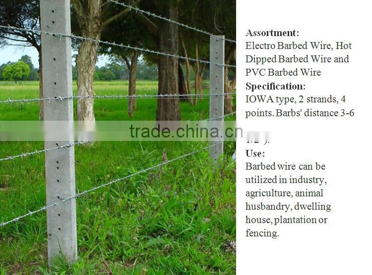 galvanized and pvc razor barbed wire BTO-22 manufacturer (factory)