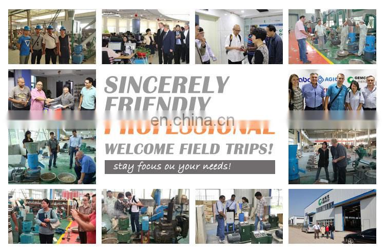 Cheap small mini wood pelletizing extruder machine line designed laboratory pelletizing machinery