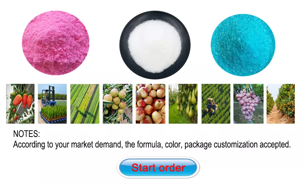 OEM 100% powder the water soluble compound npk fertilizer 20-20-20 19-19-19 18-18-18 best prices