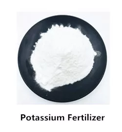 OEM 100% powder the water soluble compound npk fertilizer 20-20-20 19-19-19 18-18-18 best prices