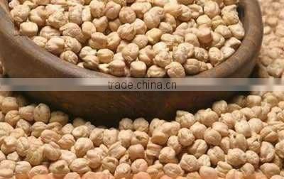Chick pea kabuli variety with size ranging from 7mm-12mm