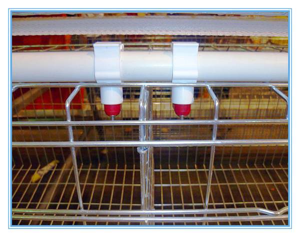 Big Discount Layer Chicken Cage With Chicken Farm For Poultry Agricultural Equipment