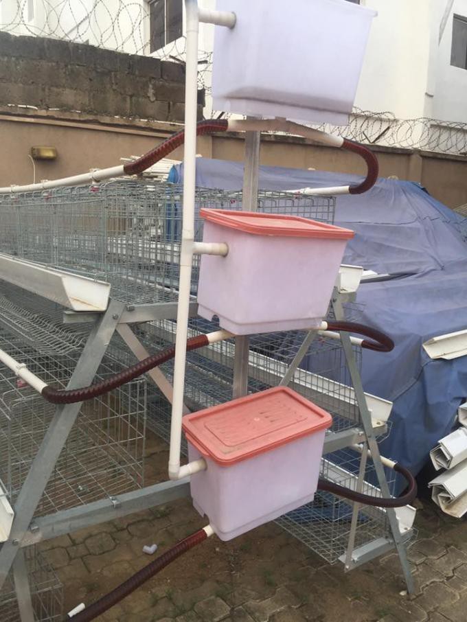 Big Discount Layer Chicken Cage With Chicken Farm For Poultry Agricultural Equipment