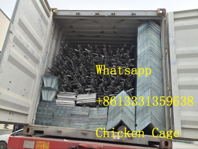 Big Discount Layer Chicken Cage With Chicken Farm For Poultry Agricultural Equipment