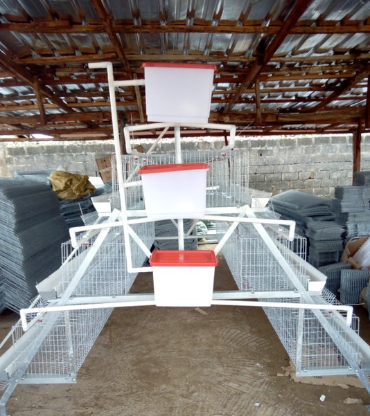 Big Discount Layer Chicken Cage With Chicken Farm For Poultry Agricultural Equipment