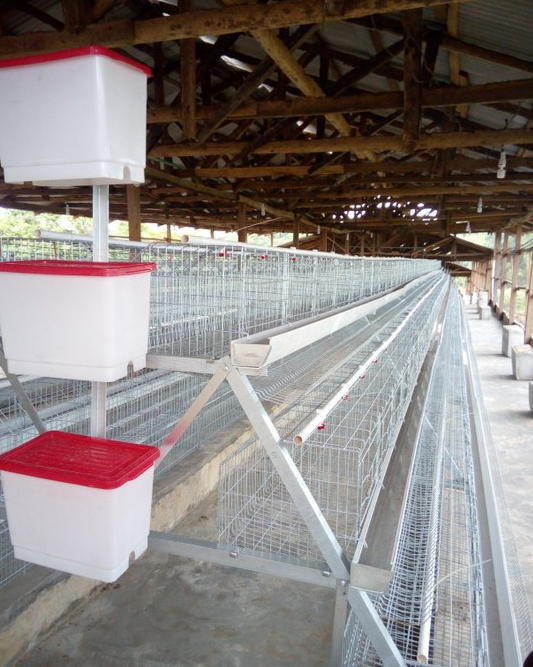 Big Discount Layer Chicken Cage With Chicken Farm For Poultry Agricultural Equipment