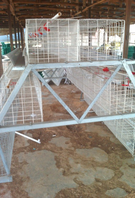 Big Discount Layer Chicken Cage With Chicken Farm For Poultry Agricultural Equipment