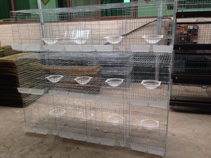 Poultry Farming Pigeon cages agriculture breeding cages for pigeons