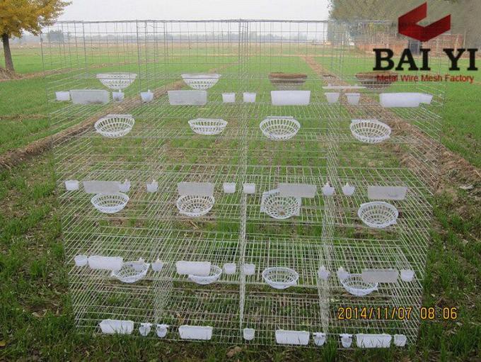 Poultry Farming Pigeon cages agriculture breeding cages for pigeons